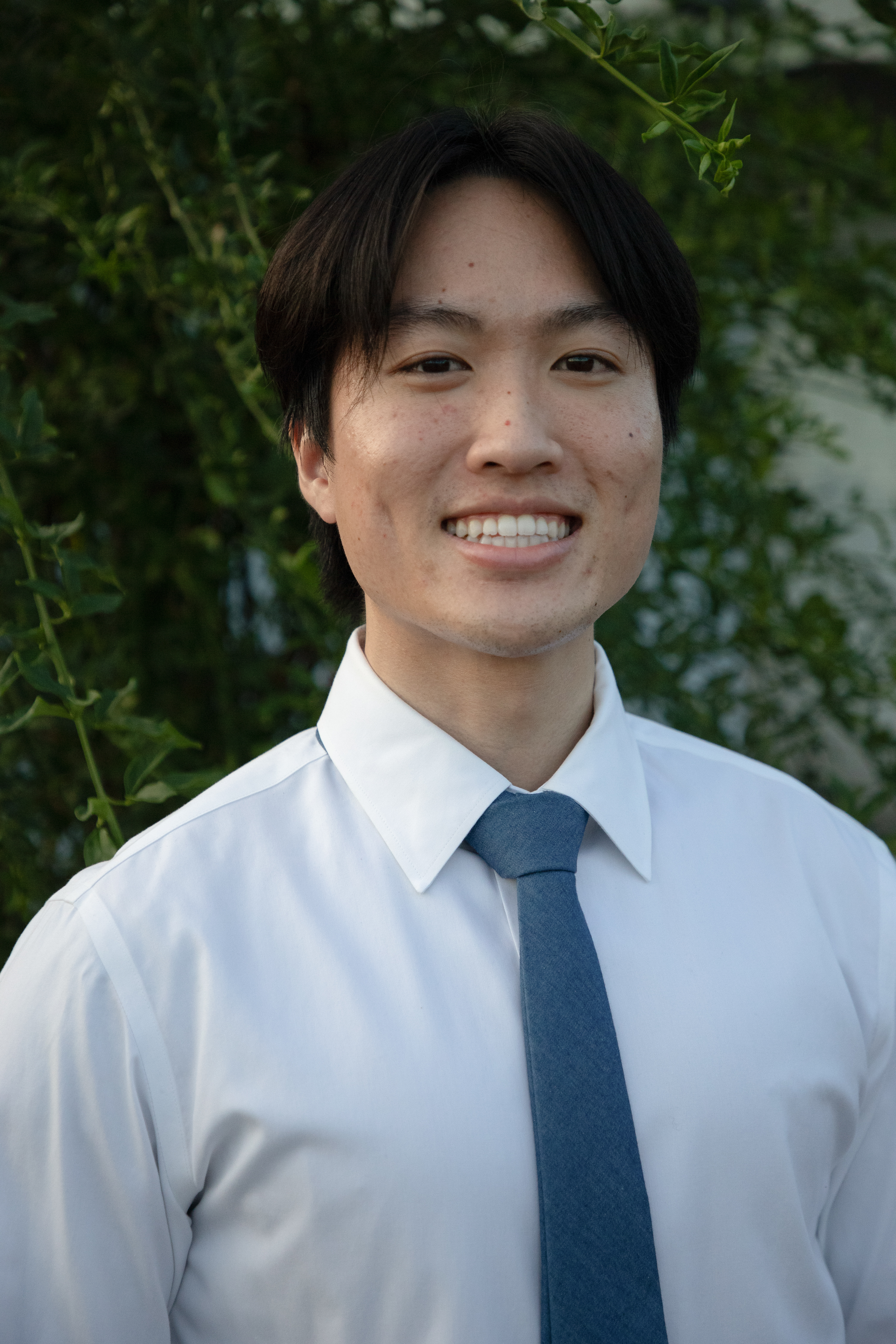 portfolio picture